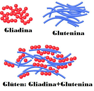 Resultado de imagem para gluten estrutura