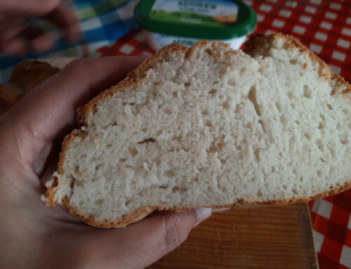 Pão simples sem gluten